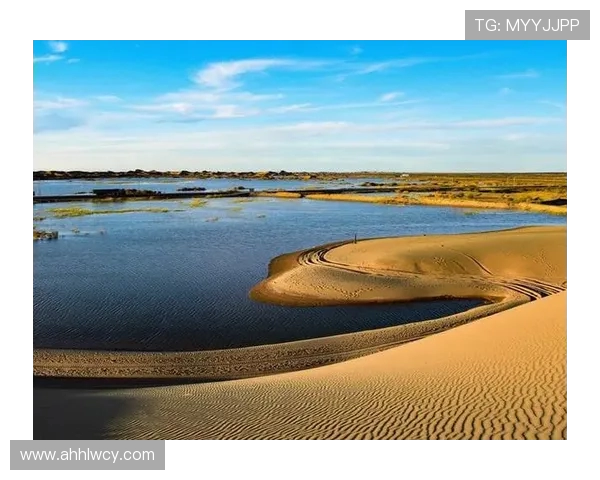 与赵芳对话探索极限运动背后的激情与挑战人生旅程 与赵芳对话探索极限运动背后的激情与挑战人生旅程
