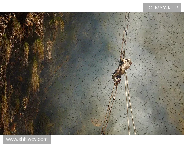 南京攀岩队的默契配合与团队精神探索之旅 南京攀岩队的默契配合与团队精神探索之旅