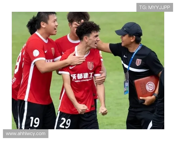 成都排球队速度引发热议球迷与专家各执己见探讨比赛策略