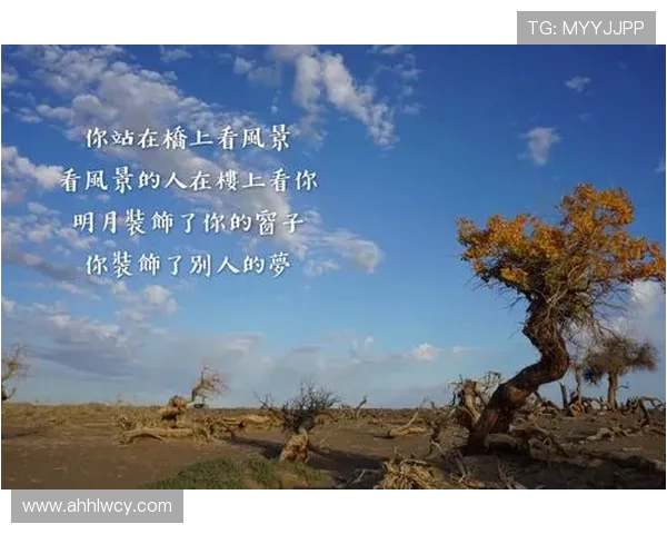 李伟专访:从初学者到攀岩高手的心路历程与成长故事 李伟专访:从初学者到攀岩高手的心路历程与成长故事