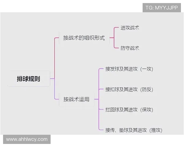 杭州排球队与南京排球队对决后的战术分析与经验总结 杭州排球队与南京排球队对决后的战术分析与经验总结