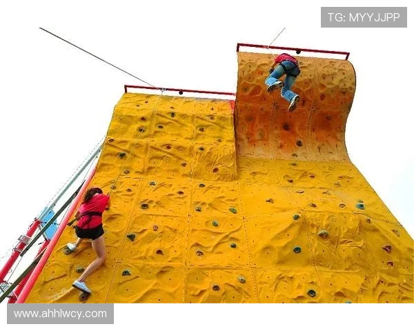 武汉攀岩队中路突破革新探索新高度的重磅专题分析 武汉攀岩队中路突破革新探索新高度的重磅专题分析