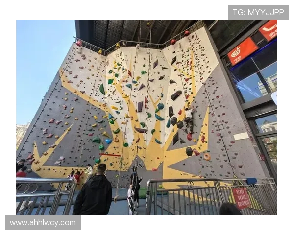 深圳攀岩队快攻策略分析与成败经验分享 深圳攀岩队快攻策略分析与成败经验分享