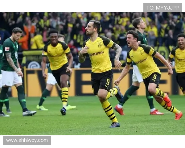 巴斯克尼亚与巴萨最新对决分析及赛果预测 巴斯克尼亚与巴萨最新对决分析及赛果预测