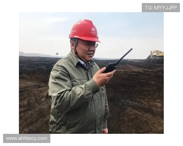 张帆：在时代浪潮中追寻梦想的青年领航者与奋斗故事