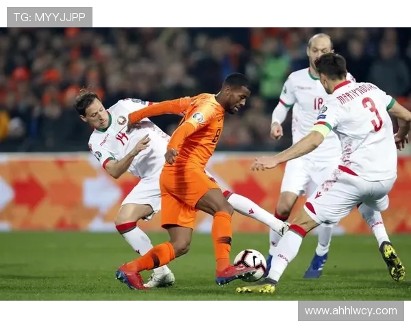 白俄罗斯与荷兰足球最新对战数据分析及预测