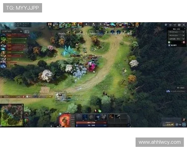 DOTA2热议RNG比赛经验引发的争议与反思分析