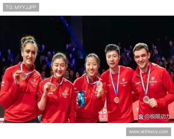成都乒乓球队力量争议引发热议球迷观点各异探讨背后原因与影响