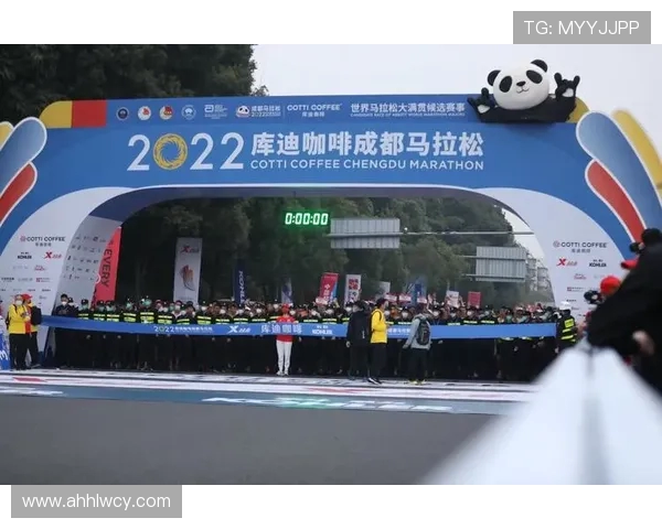 成都排球队奋勇拼搏总决赛背后的艰辛与荣耀之路