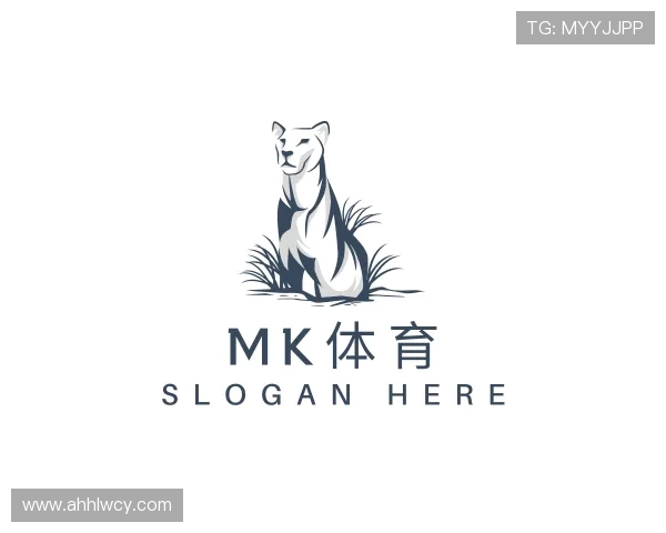 解读mk